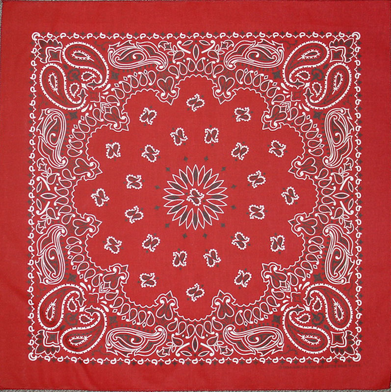 (image for) Bandanna Burgundy Paisley 22" x 22"